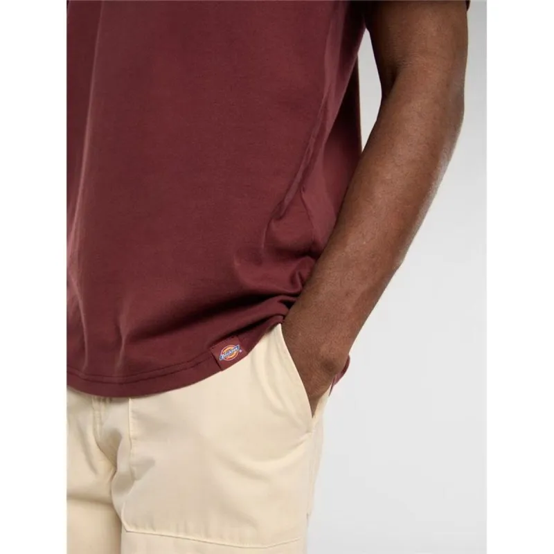 Vyriški marškinėliai su trumpomis rankovėmis Dickies Burns Ruda