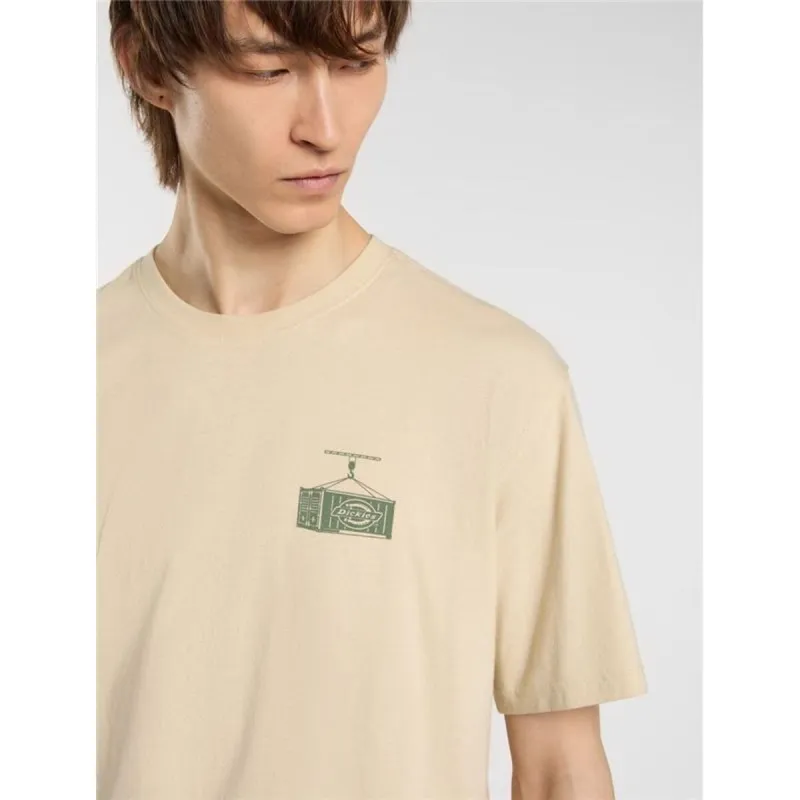 Lühikeste varrukatega T-särk, meeste Dickies Apison Ss Beež