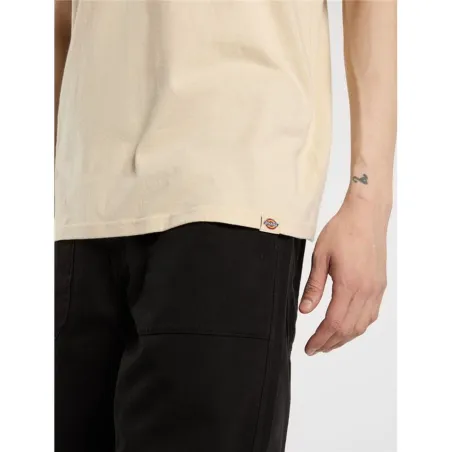 Vyriški marškinėliai su trumpomis rankovėmis Dickies Apison Ss Rusvai gelsva
