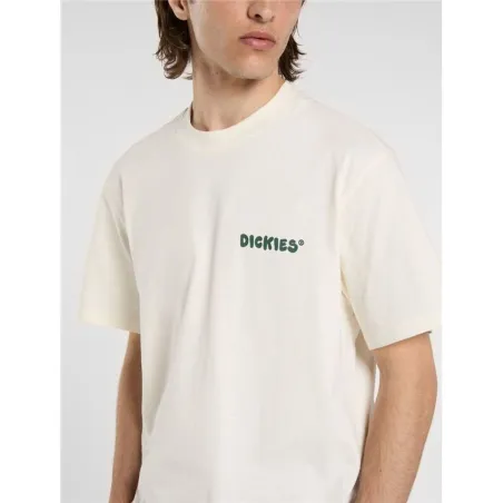 Miesten T-paita Dickies Gordonsville Ss Valkoinen