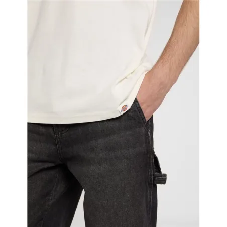 Miesten T-paita Dickies Gordonsville Ss Valkoinen