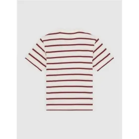 Miesten T-paita Dickies York Stripe Ss Valkoinen