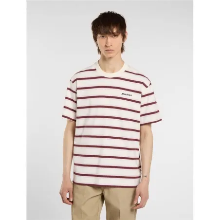 Miesten T-paita Dickies York Stripe Ss Valkoinen