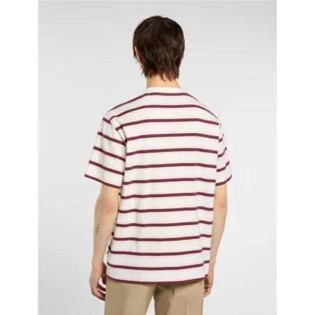 Vīriešu Krekls ar Īsām Piedurknēm Dickies York Stripe Ss Balts
