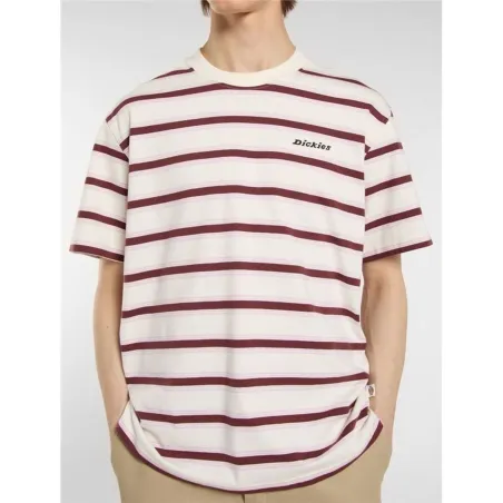 Vyriški marškinėliai su trumpomis rankovėmis Dickies York Stripe Ss Balta