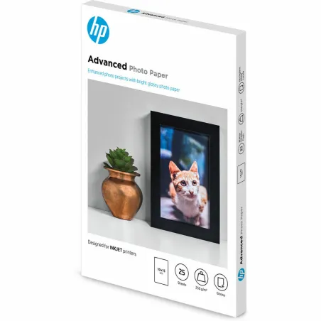 Набор картриджа и фотобумаги HP Q8691A 25 Листья