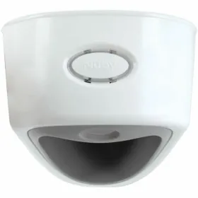 Potty Nûby