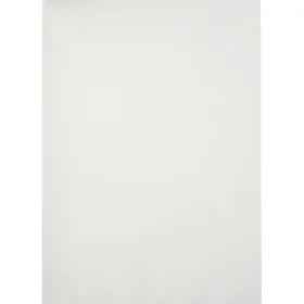 Ламинированные чехлы Fellowes 5351111 Прозрачный A4 Ламинатор (100 штук)