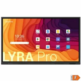 Интерактивный тактильный экран Newline Interactive TT-6523QA 4K Ultra HD 65"