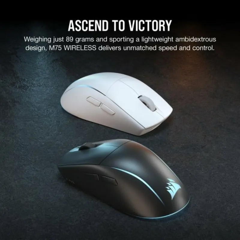 Mouse Corsair M75 RGB