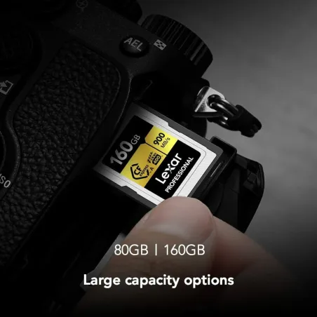 USB-pulk Lexar LCAGOLD160G-RNENG Must