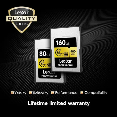 USB stick Lexar LCAGOLD160G-RNENG Black