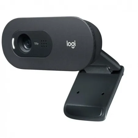 Veebikaamera Logitech C505e Must