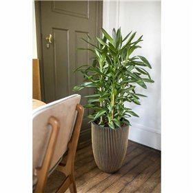 Planter Capi Europe Golden Plastic