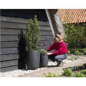 Planter Capi Europe Black Plastic Circular