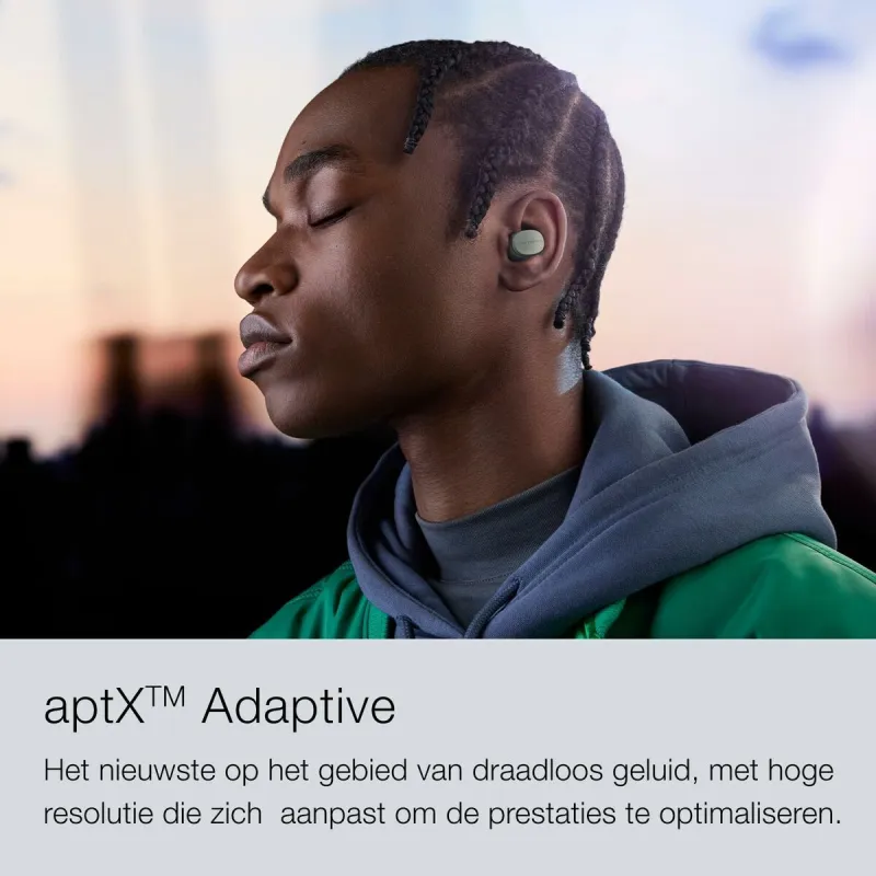 Austiņas Bowers & Wilkins Pi6 Pelēks