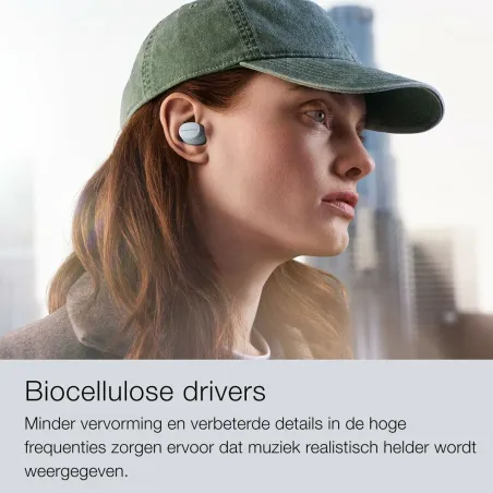 Austiņas Bowers & Wilkins Pi6 Pelēks