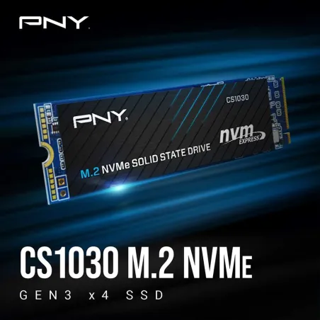 Kõvaketas PNY CS1030 1 TB SSD