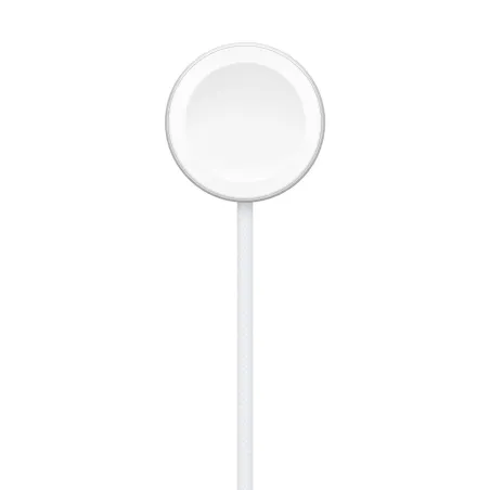 Magnetic USB Charging Cable Apple MT0H3TY/A 1 m