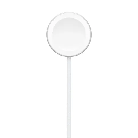 Magnetic USB Charging Cable Apple MT0H3TY/A 1 m