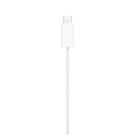 Magnetic USB Charging Cable Apple MT0H3TY/A 1 m