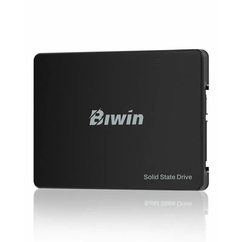 Kietasis diskas Biwin M100 1 TB SSD