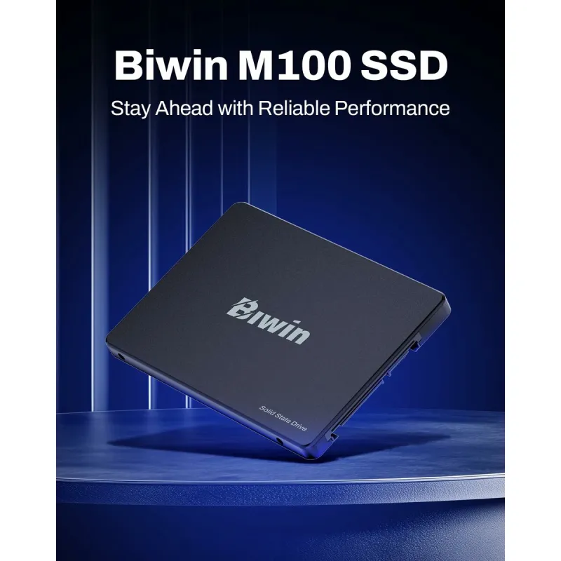 Cietais Disks Biwin M100 1 TB SSD