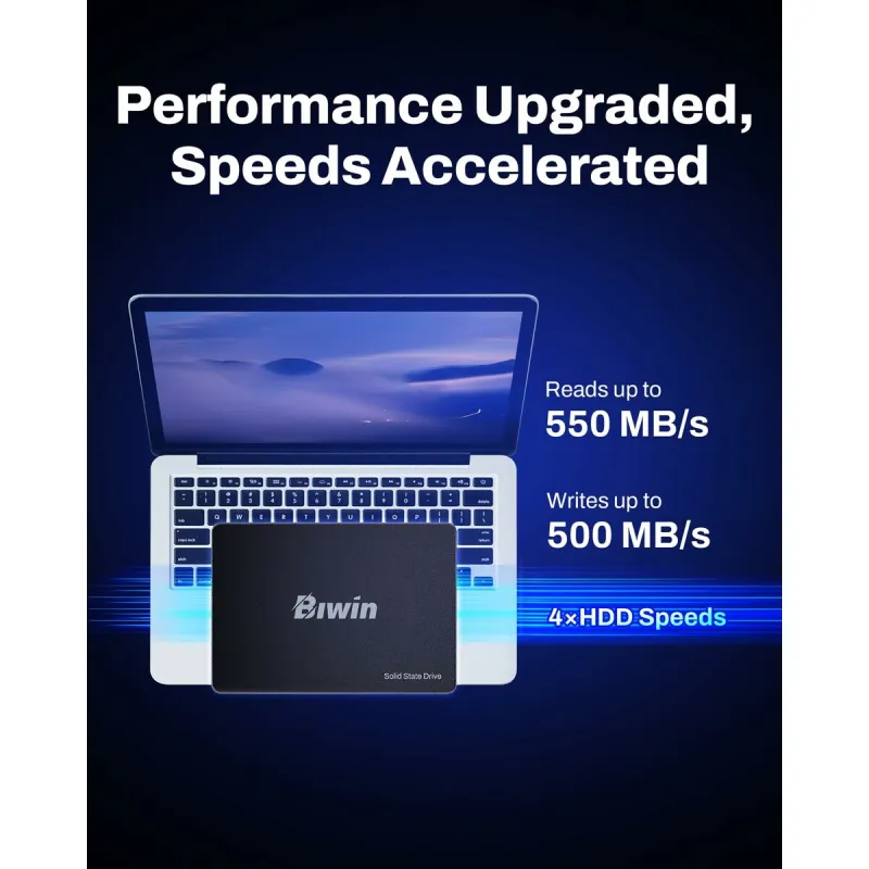 Kietasis diskas Biwin M100 1 TB SSD