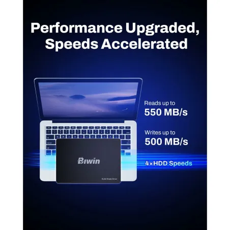 Kietasis diskas Biwin M100 1 TB SSD