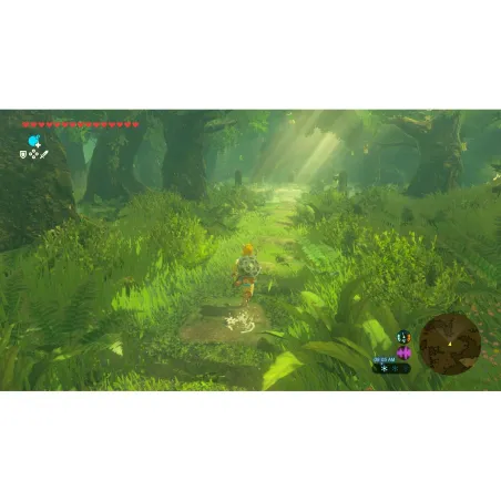 Pārnēsājama Spēļu Konsole Nintendo 10016313