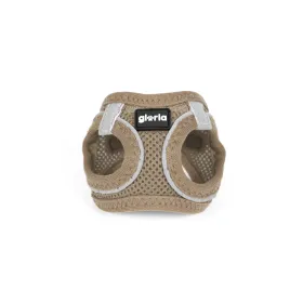 PLUTO C BLACK/GOLDEN