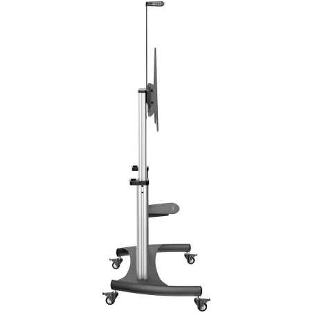 TV-teline Startech STNDMTV100 100"
