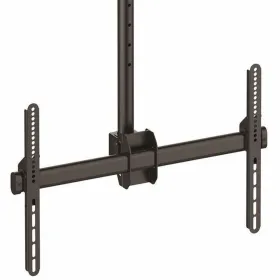 TV laikiklis Startech FPCEILPTBLP 50 kg 32" 75"