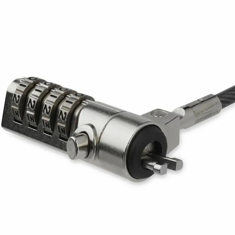 Turvakaapeli Startech LTLOCK4D 2 m
