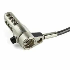 Turvakaapeli Startech LTULOCK4D            (2 m)