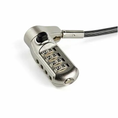 Turvakaapeli Startech LTULOCK4D            (2 m)
