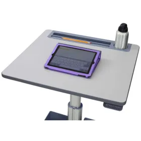 Darbo stalas Ergotron 24-547-003 Sidabras