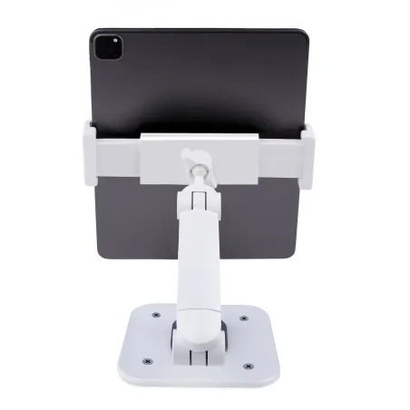Tablettiteline Startech ADJ-TABLET-STAND-W Valkoinen