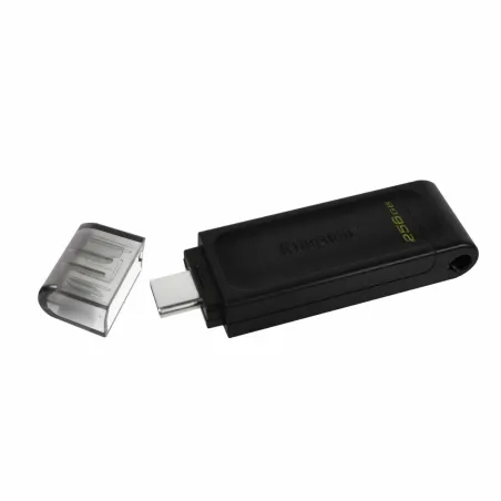 USB atmintukas Kingston DT70/256GB