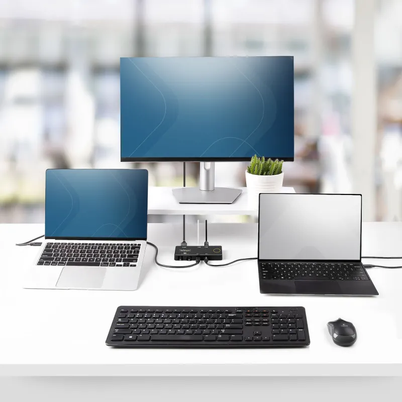 KVM Lüliti Startech C2-H46-UC2-PD-KVM