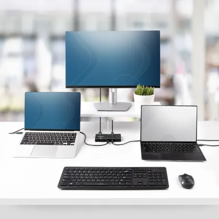 KVM komutatorius Startech C2-H46-UC2-PD-KVM