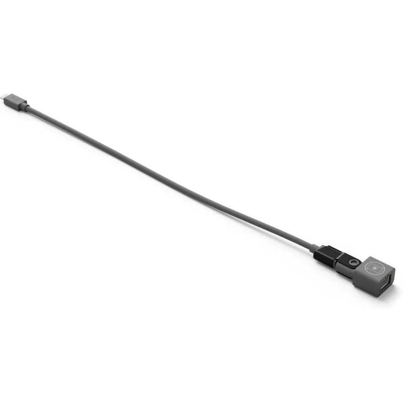 Austiņas Logitech 952-000181