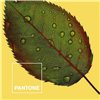 Пододеяльник Nature Pantone