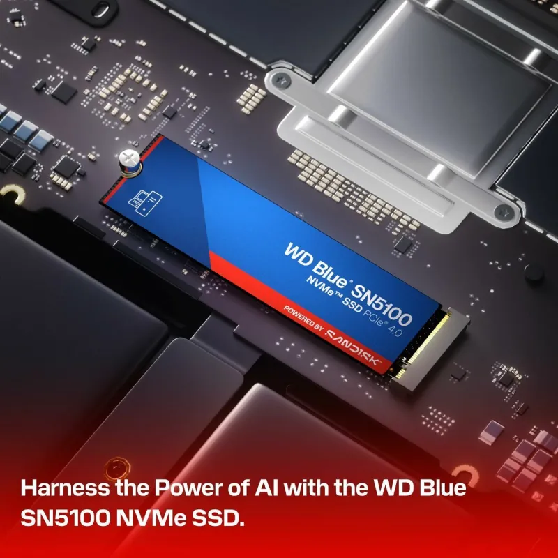 Kõvaketas Western Digital WDS100T5B0E 1 TB SSD