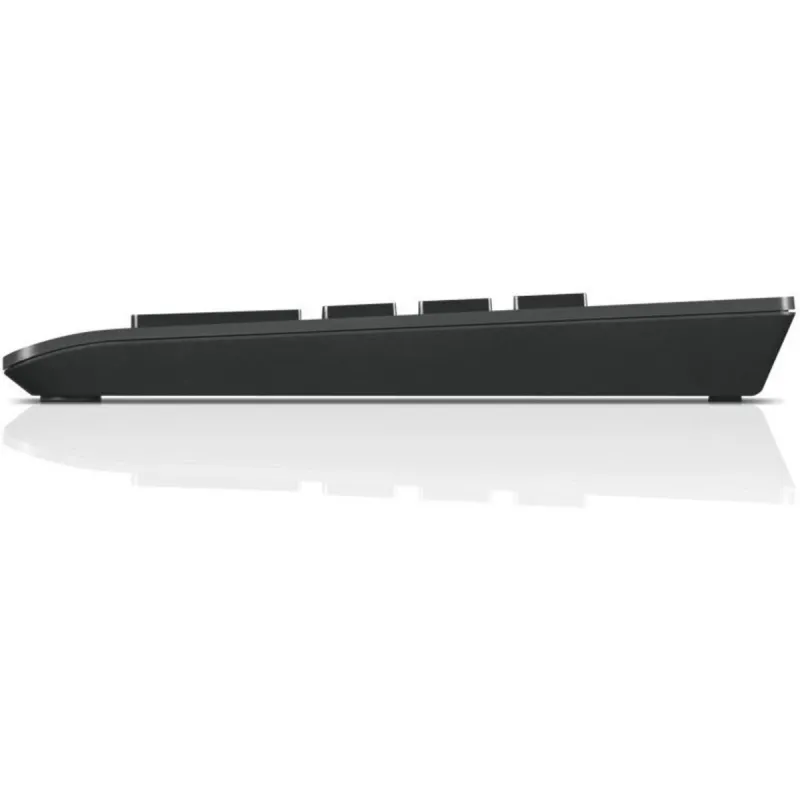 Keyboard and Mouse Lenovo 4Y40R38905 Black