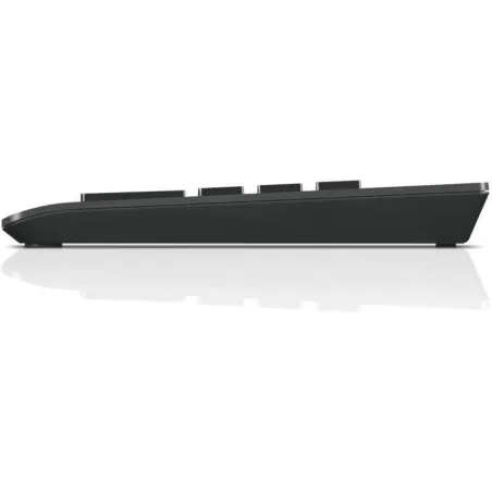 Keyboard and Mouse Lenovo 4Y40R38905 Black
