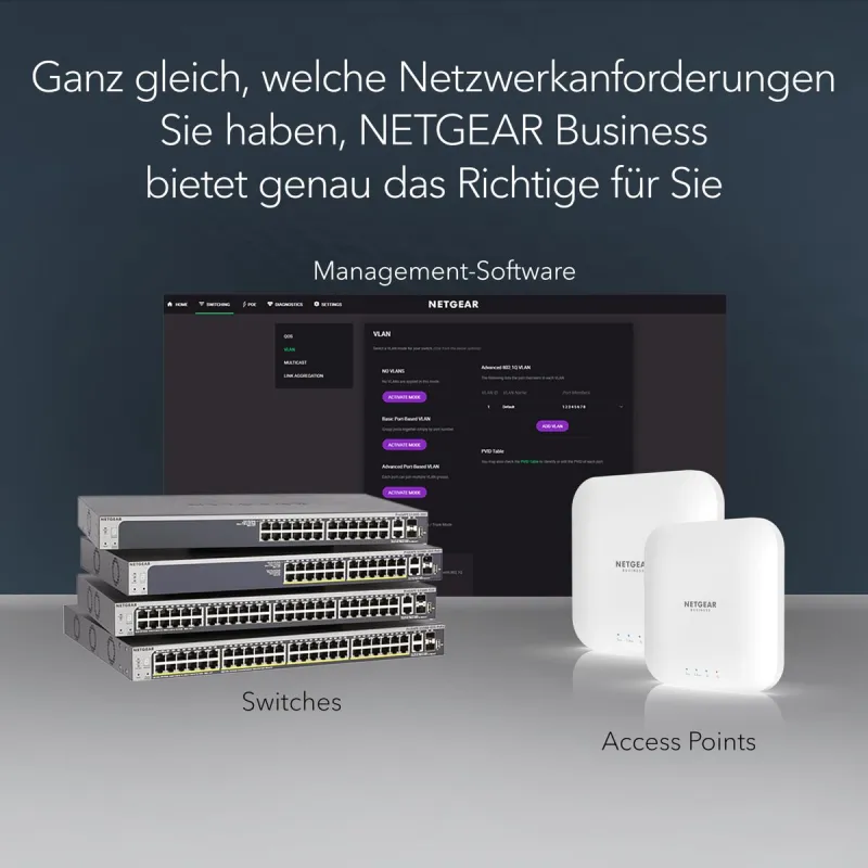 Switch Netgear GS116-300EUS