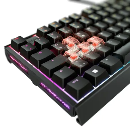 Klaviatūra ir pelė Cherry G80-3890LJAES-2