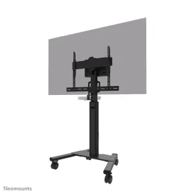 Lauatugi Ekraanile Neomounts AV50-500BL 43" 110"