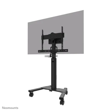 Lauatugi Ekraanile Neomounts AV50-500BL 43" 110"